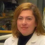 Basak Icli, Ph.D. Profile | Tufts University